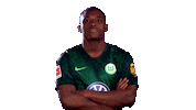 come here jerome roussillon Sticker by VfL Wolfsburg