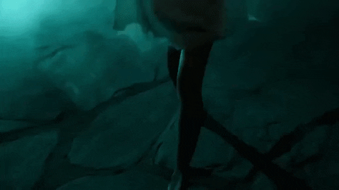 Sheff G Sleepy Hallow GIF by Winners Circle