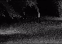night of the living dead horror GIF