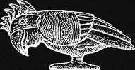 greenparrotbar  GIF