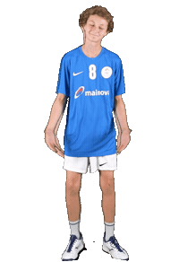 Mc Sticker by THE DOGS - TSV Pfungstadt Handball