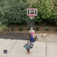8-Year-Old Basketball Talent Lands Neat Trick Shot