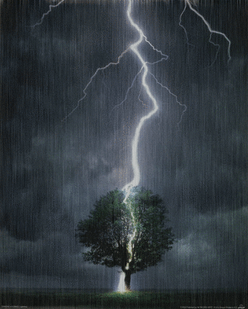 lightning GIF