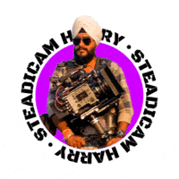 karanjitn harry steadicam bhui harkirath GIF