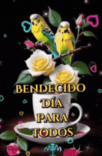 Para Todos Dia GIF by Murcianys LLC