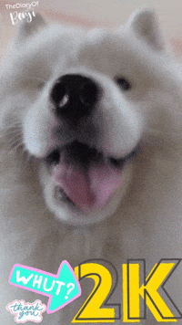 Thanks GIF