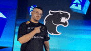 Esports Brazil GIF by BLAST
