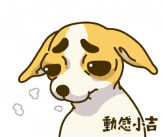 Animation Dog GIF