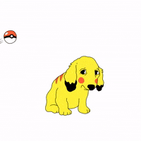 My Dog Is A Pokemon