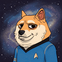 Star Trek Space GIF by Doge Pound
