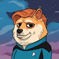 Star Trek Illustration GIF by Doge Pound