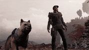 Good Boy Dog GIF by Xbox