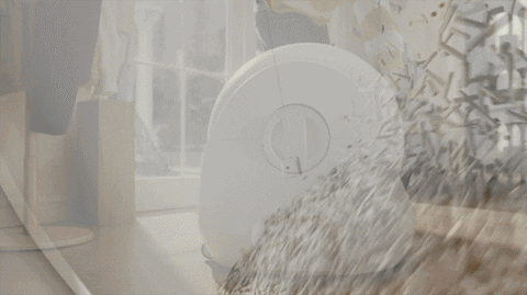 abellee giphyupload GIF