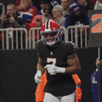 Atlanta Falcons Football GIF by Bijan Mustardson
