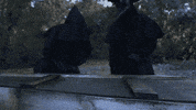 blackplaguebrewing craft beer brewery craft brewery beer cans GIF