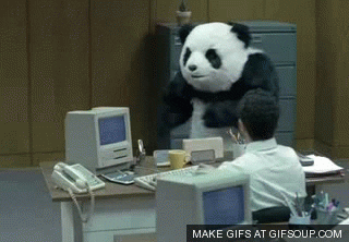panda GIF