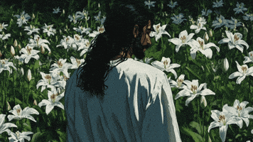 Book Of Mormon Flowers GIF by Jukebox Saints