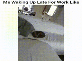 monday getting GIF