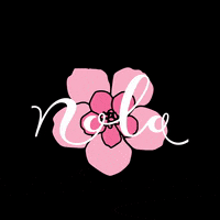 nolaiceland flower skincare nola blom GIF