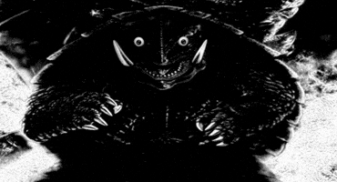 Stare Turtle GIF
