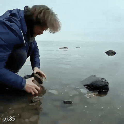 stone satisfying GIF