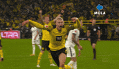 Marco Reus Reaction GIF by MolaTV