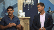 Finding Prince Charming Television GIF by LogoTV