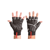 SauerShootingsportswear sauer sauershootingsportswear sauershooting shootingglove Sticker