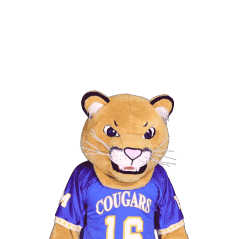 misericordiauniversity giphyupload pennsylvania mu misericordia Sticker