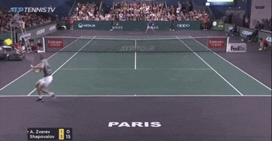 Shapovalov Incredibly Easy Power