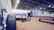 Lets Go Win GIF by Casol