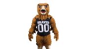 Mascot Pembroke Sticker by UNCP Braves Athletics