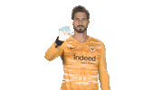 Eintracht Frankfurt No Sticker by Bundesliga