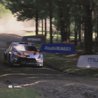 Rallying Zero Gravity GIF by FIA World Rally Championship