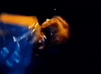 echo party GIF