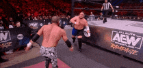 Samoa Joe Wrestling GIF by AEWonTV
