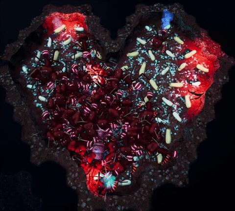slugdisco giphygifmaker GIF