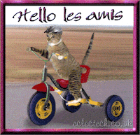 Humour GIF