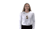 Lets Go Win Sticker by UNCP Braves Athletics
