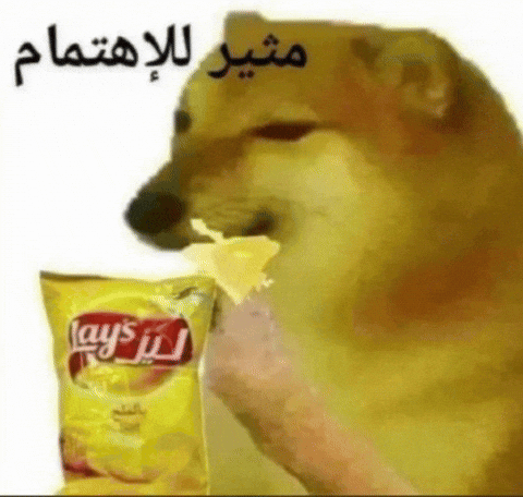 Irq 9Mc GIF by Bashar