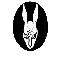 whiterabbitwaterloo whiterabbit whiterabbitpublichouse whitetabbitwaterloo Sticker