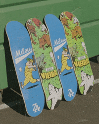 GIF by Pizza Skateboards