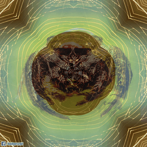 web spider GIF by Psyklon