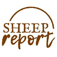 Sheep Baa Sticker by Brown Dog Farm Studio