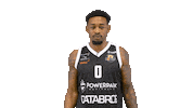 Sport Basketball Sticker by Basket_fi