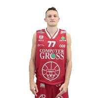 Basketball Lnp Sticker by Use Basket