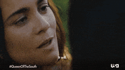 Queen Of The South Television GIF by USA Network