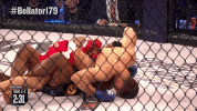 GIF by Bellator