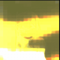 Hojunicore GIF
