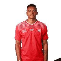 Manuel Akanji Link Sticker by Swiss Football Association